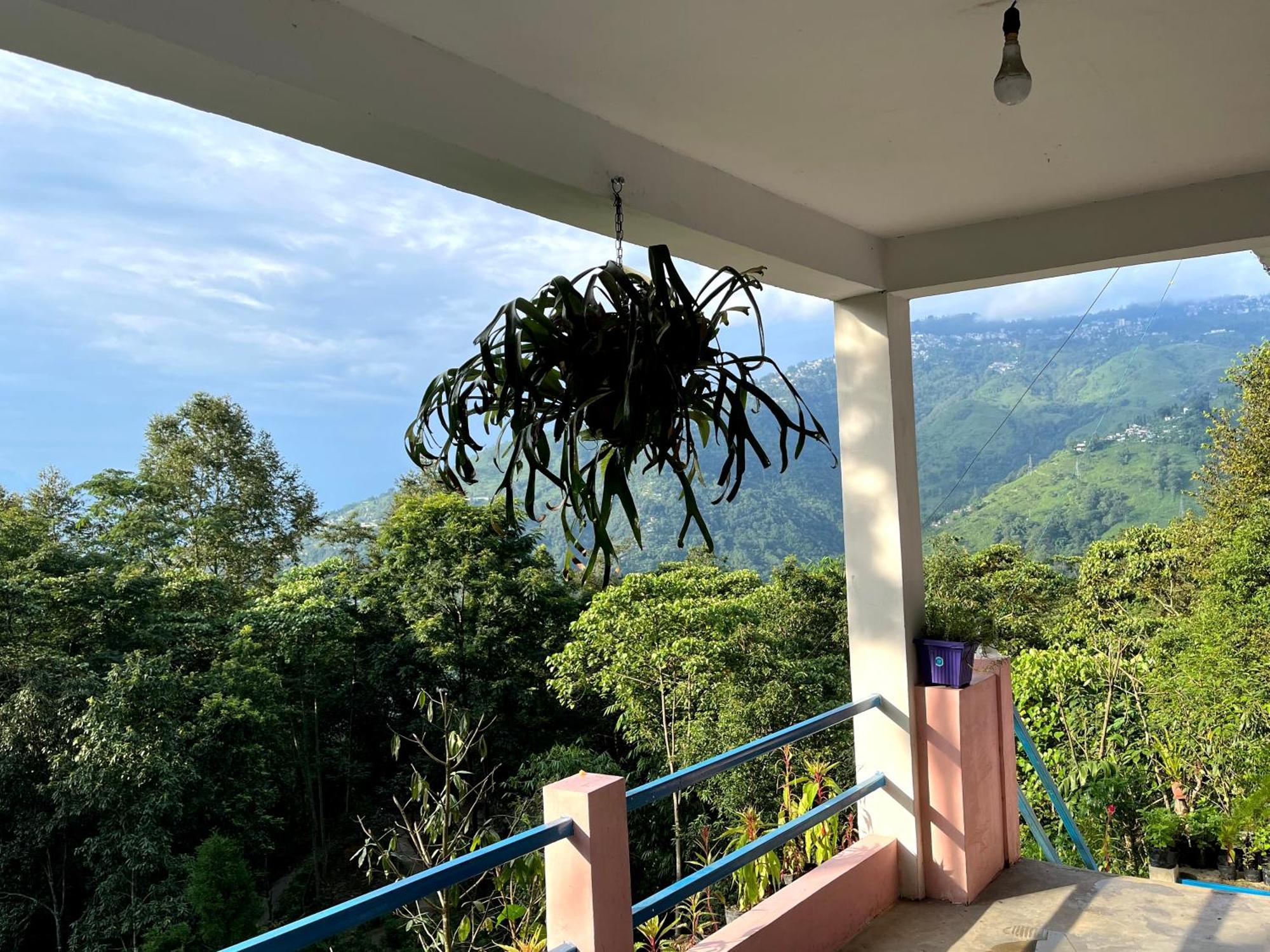 Hosanna Homestay 다르질링 외부 사진