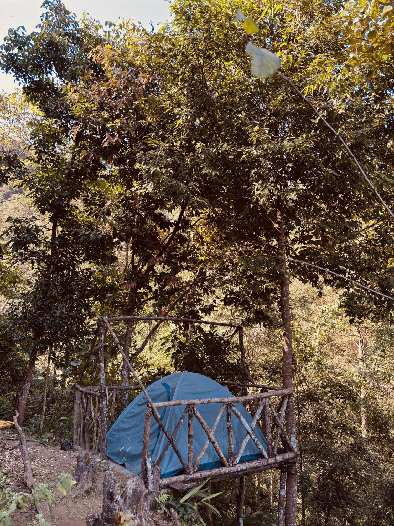 Hosanna Homestay 다르질링 외부 사진