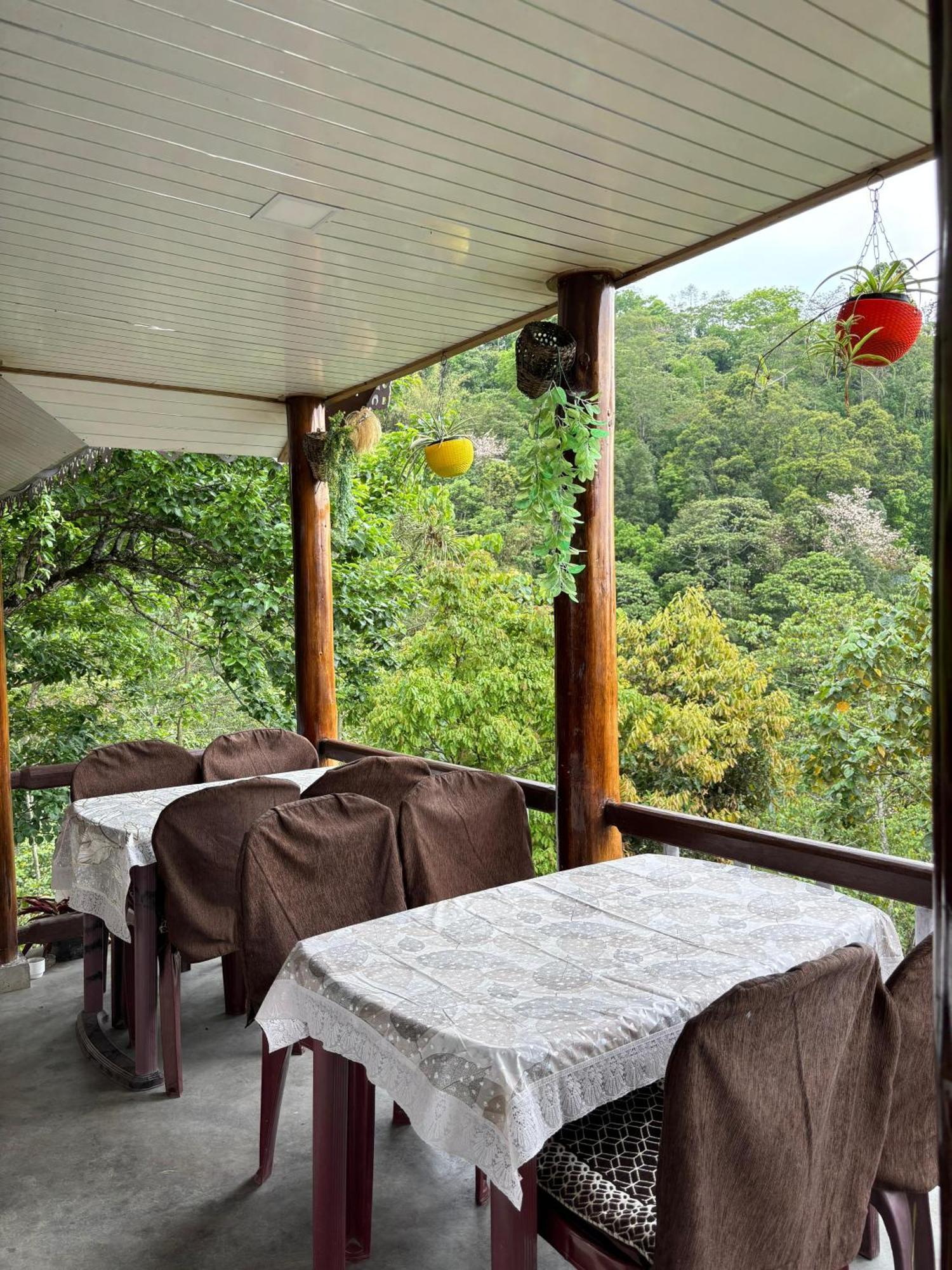 Hosanna Homestay 다르질링 외부 사진